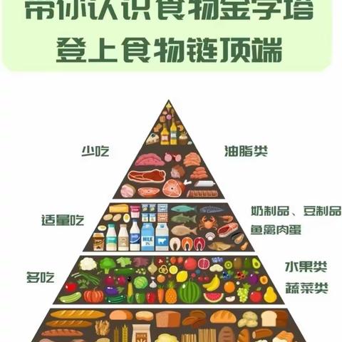 【专题活动】我是小小营养师