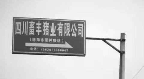 汉阙之旅（2）·黄许汉上庸长阙