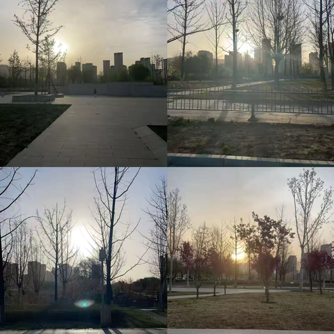 健康减重 从我开始