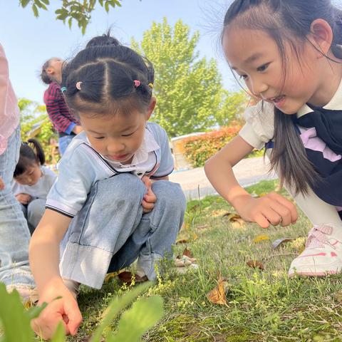 【卫生保健】春夏交替，孩子易咳嗽，这些食物要慎重——家宝幼儿园保健护理