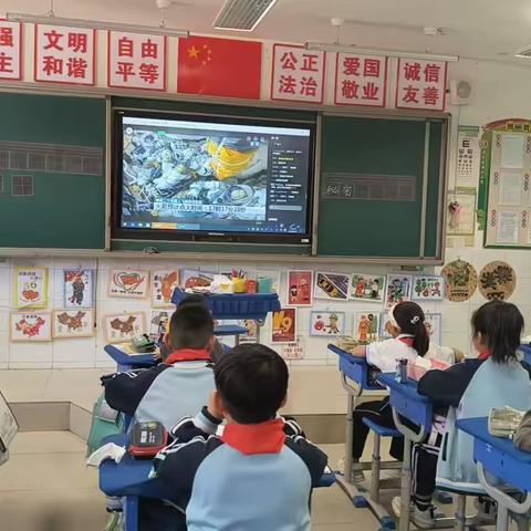 神舟二十逐梦苍穹 ‍校园师生共鉴辉煌