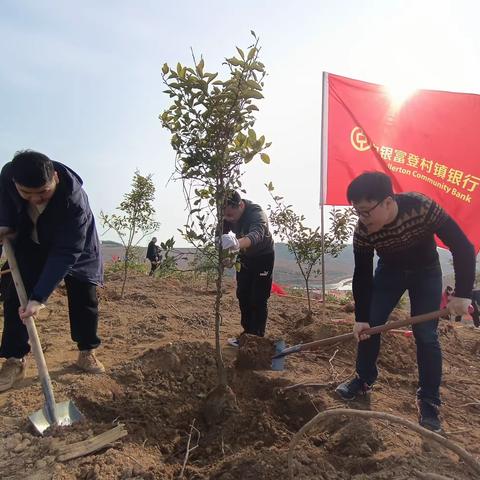 松滋中银富登村镇银行开展 “植树造林 共建美好家园” 义务植树活动