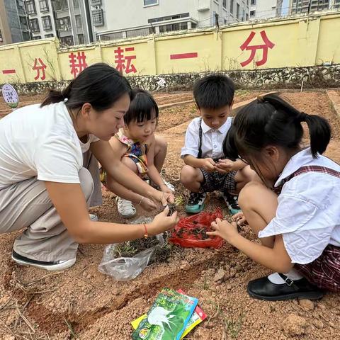 享种植之乐趣，悟劳动之意义 ——一年级菜园种植之亲子齐力开荒篇