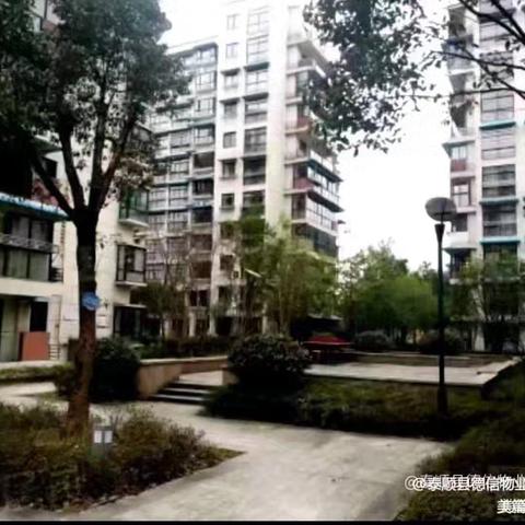 桃园名仕管邸2025年4月份工作简报