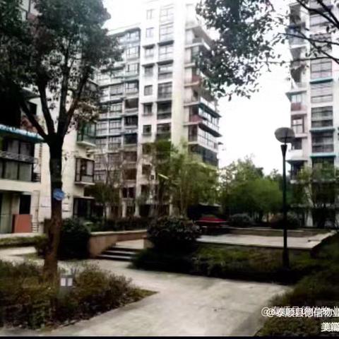 桃园名仕官邸2025.6月份工作简报