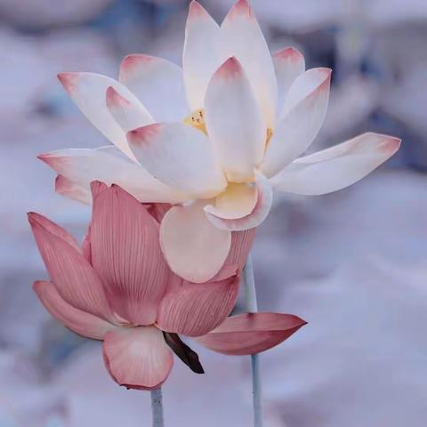 色情淫毒，荼毒脊髓，古籍《冥罚阴律》记载功过对错，望有心人慎之。