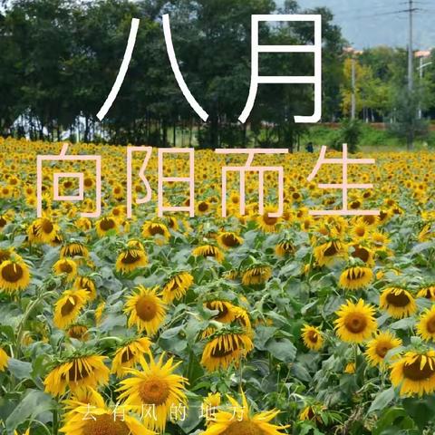 山东馨康园物业服务有限公司