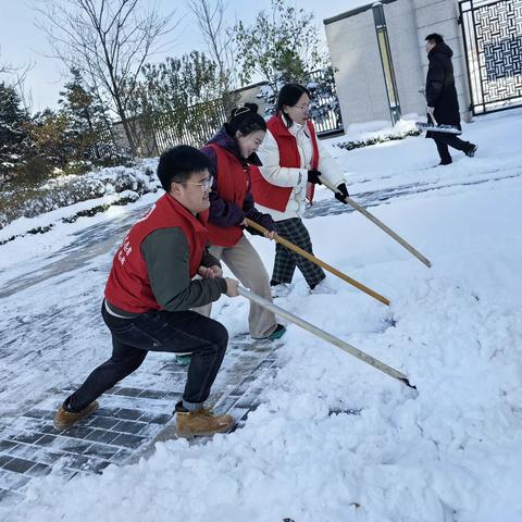 清理积雪保畅通  为民服务暖人心
