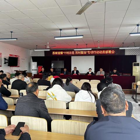 苏家洼镇组织召开“十村示范、百村整治”专项行动动员部署会议