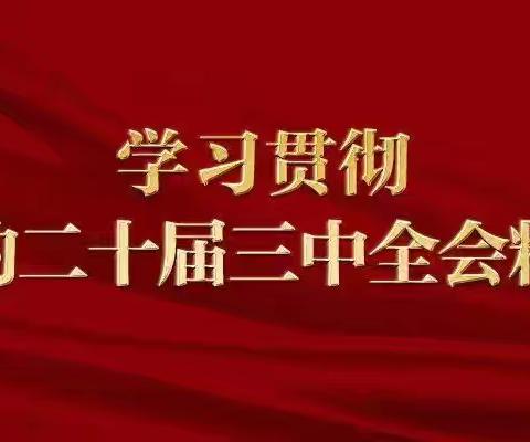 市黑河环保总站传达学习党的二十届三中全会精神