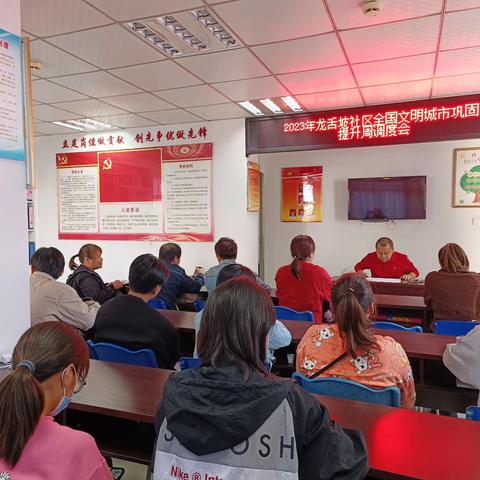 龙舌坡社区开展全国文明城市入户问卷调查工作