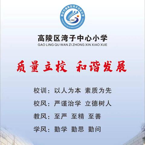 【高陵教育】湾子中心小学——地球一小时倡议书