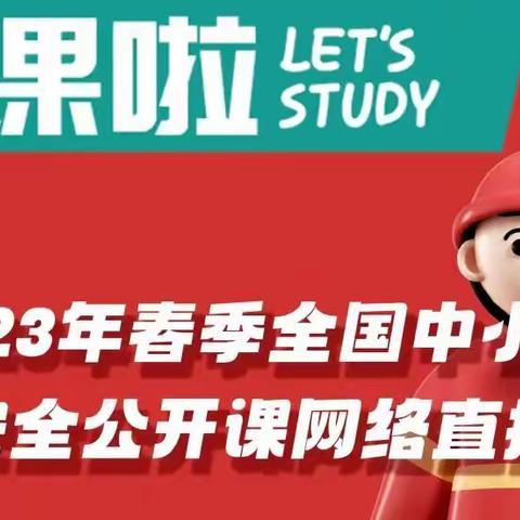 【强镇筑基，宜学南沙河】南沙河镇西古石小学观看消防直播活动