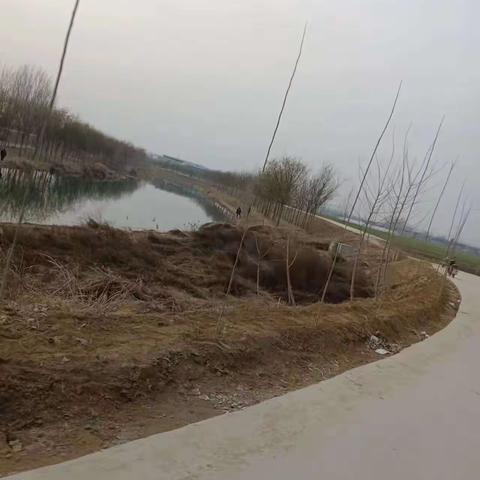 尉氏县朱曲镇：后赵村网格员安全巡查 筑牢防溺水“安全堤”