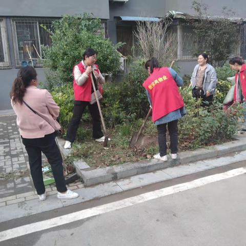 巩卫不松懈  清扫不停歇