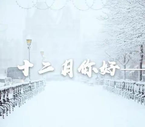 2023年12月份工作总结（区政府服务项目）