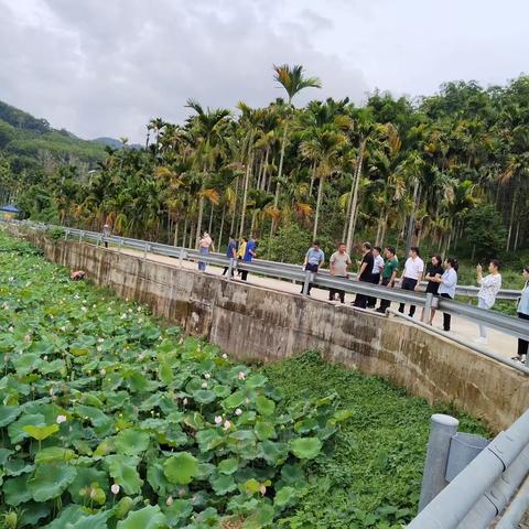 发掘非遗传习魅力，助力农旅融合发展——省旅文厅刘成副厅长率队到南圣村调研考察