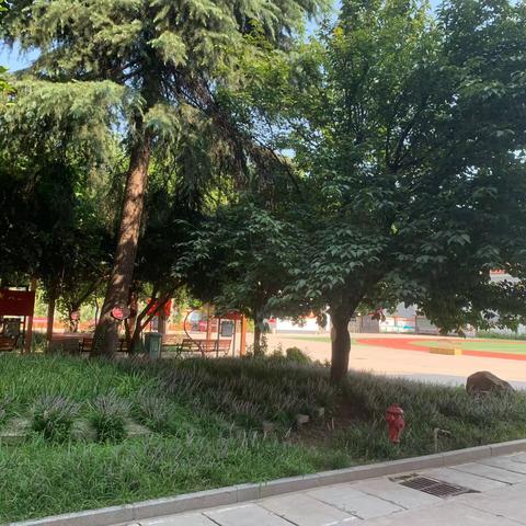 展风采，促成长------六年级数学常规听课