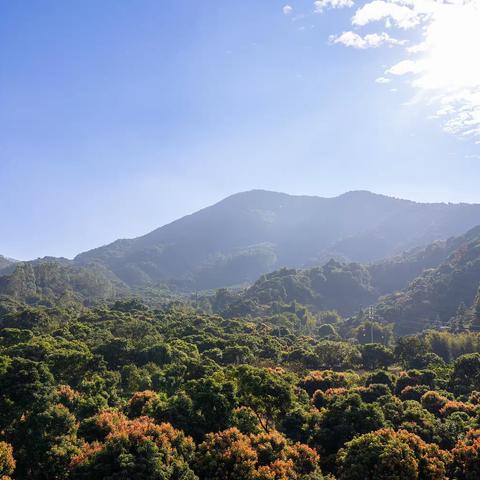 云端.半山全新高端11房19床滑梯泳池别墅