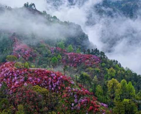 陌上花开