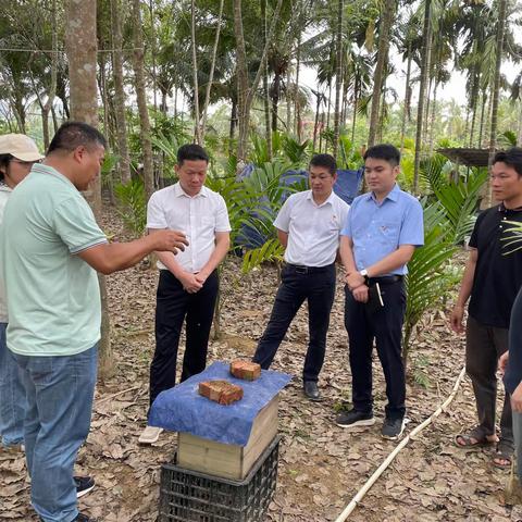 陈国梁同志到南圣镇调研