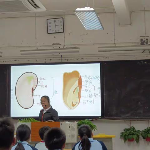 海口市琼山中学2024-2025学年度第一学期第十三周七年级生物备课组活动