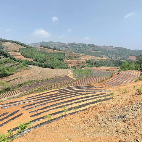 新烟区 新机遇 新希望