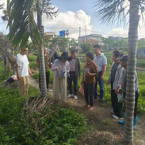 万宁市农业技术推广中心开展“农技服务下乡村，科学用药守底线”宣传活动