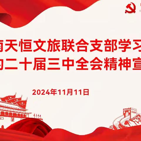 海南天恒文旅联合支部学习贯彻党的二十届三中全会精神宣讲