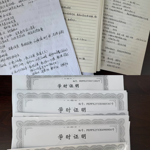 启智润心，共研新程——2025年秋季人教版小学数学新教材培训