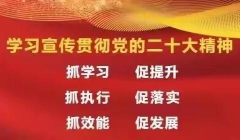 【“三抓三促”行动进行时】数字赋能 全民共享——连儿湾小学开展“数字素养校园行”系列活动