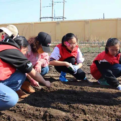 春耕实践强技能 劳育身心助成长  --塔河县中小学综合实践学校开展农耕文化进课堂活动