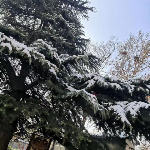 快乐童年   雪花为伴———仲宫街道中心小学阳光中队主题活动