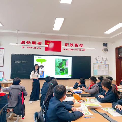 《食物链和食物网》——双语部小学综合组科学“名师打磨课”