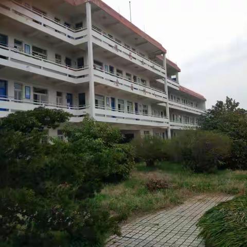 忆黄梅中学：我的廿八载青春与成长