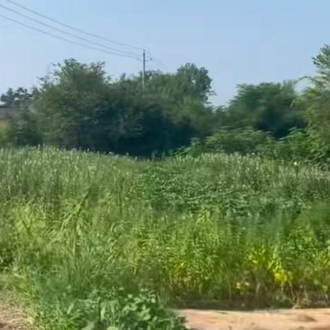 荒墟里的余温