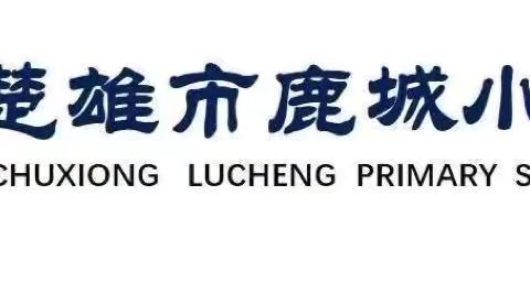 《知法守法护法 增强法制观念》 ‍鹿城小学彝海校区第十一周升旗仪式小记 ‍ ‍ ‍ ‍ ‍ ‍ ‍ ‍ ‍ ‍ ‍ ‍ ‍ ‍ ‍ ‍ ‍