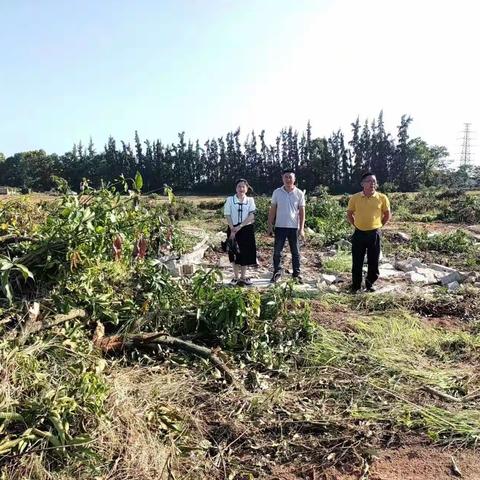 文罗镇副镇长胡环绕到文英村指导工作纪录