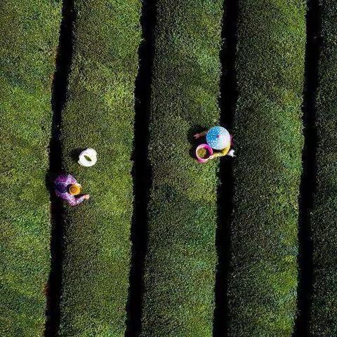 沙市第十一中学2209班居家劳动篇--看劳动美少年展风采