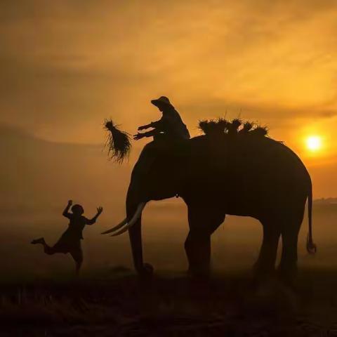 居家勤实践 劳动最光荣—-沙市第十一中学2209班居家劳动篇