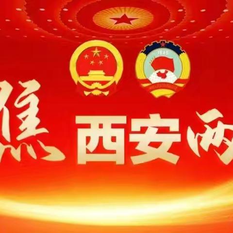 西安市政协十五届四次会议表彰先进委员，盛春雨荣获多项荣誉