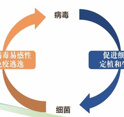 煤峪口网格温馨提示:有一种孝顺，叫带着老人去接种流感疫苗和肺炎疫苗