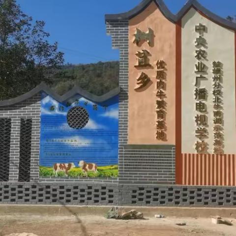 树苴牛超市迎来首个交易日