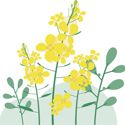 【放假通知】河南大学附属小学金明校区2023年清明节放假通知及温馨提示