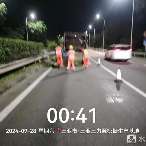 2024年9月29日绿化养护工作日志