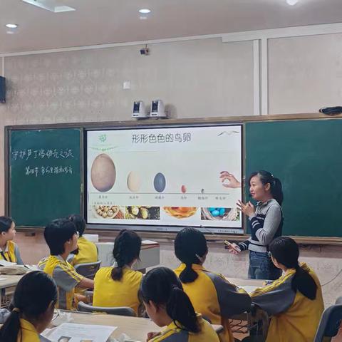 跨学科融合的生物课堂有多妙？这节“寻找受精的芦丁鸡卵”课告诉你答案！