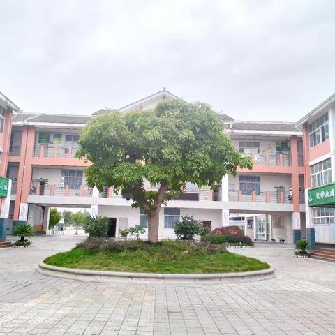 忠兴小学2025年新生一年级招生公告