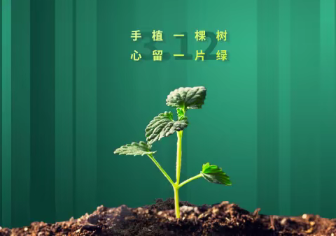 树木棵棵种，校园片片绿 ——张庄中学开展植树节实践活动