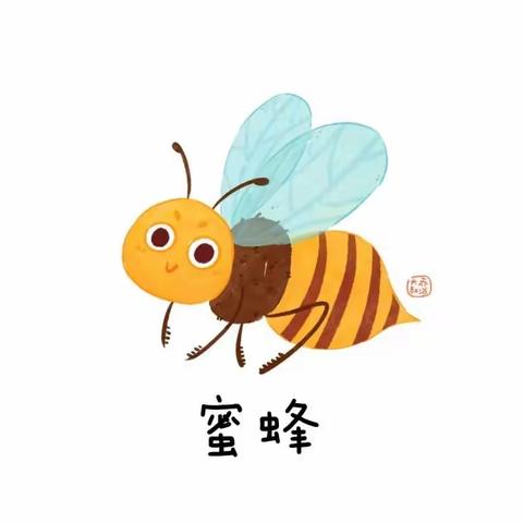 《昆虫记— —蜜蜂🐝嗡嗡》精三班·课程故事