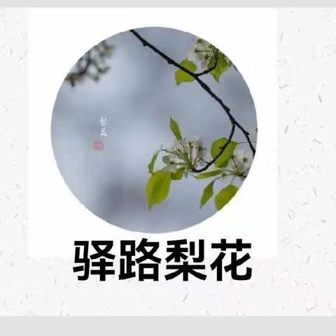 课堂上的主角光环